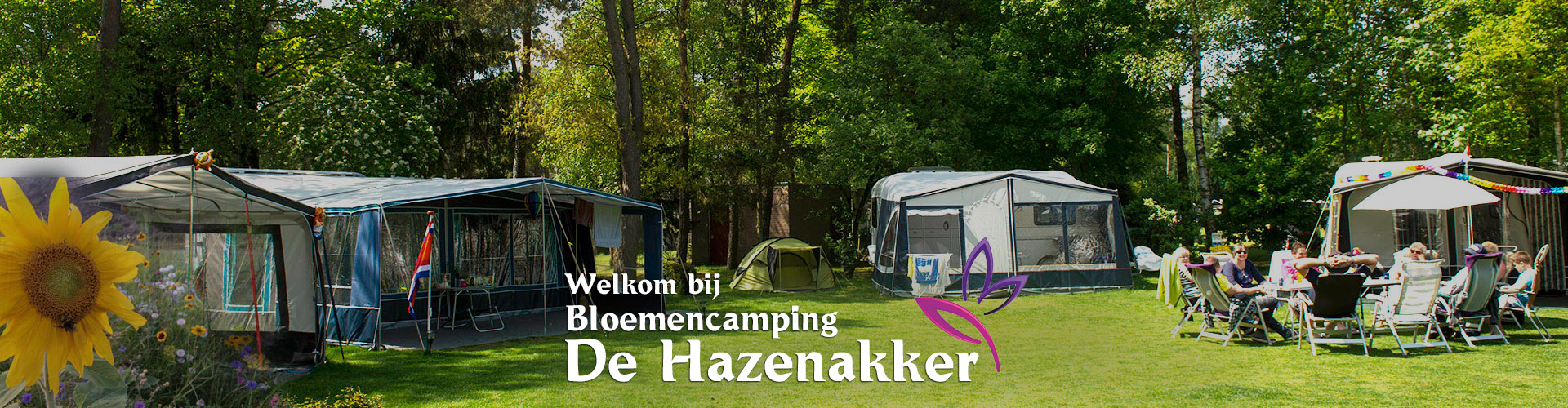 Bloemencamping De Hazenakker