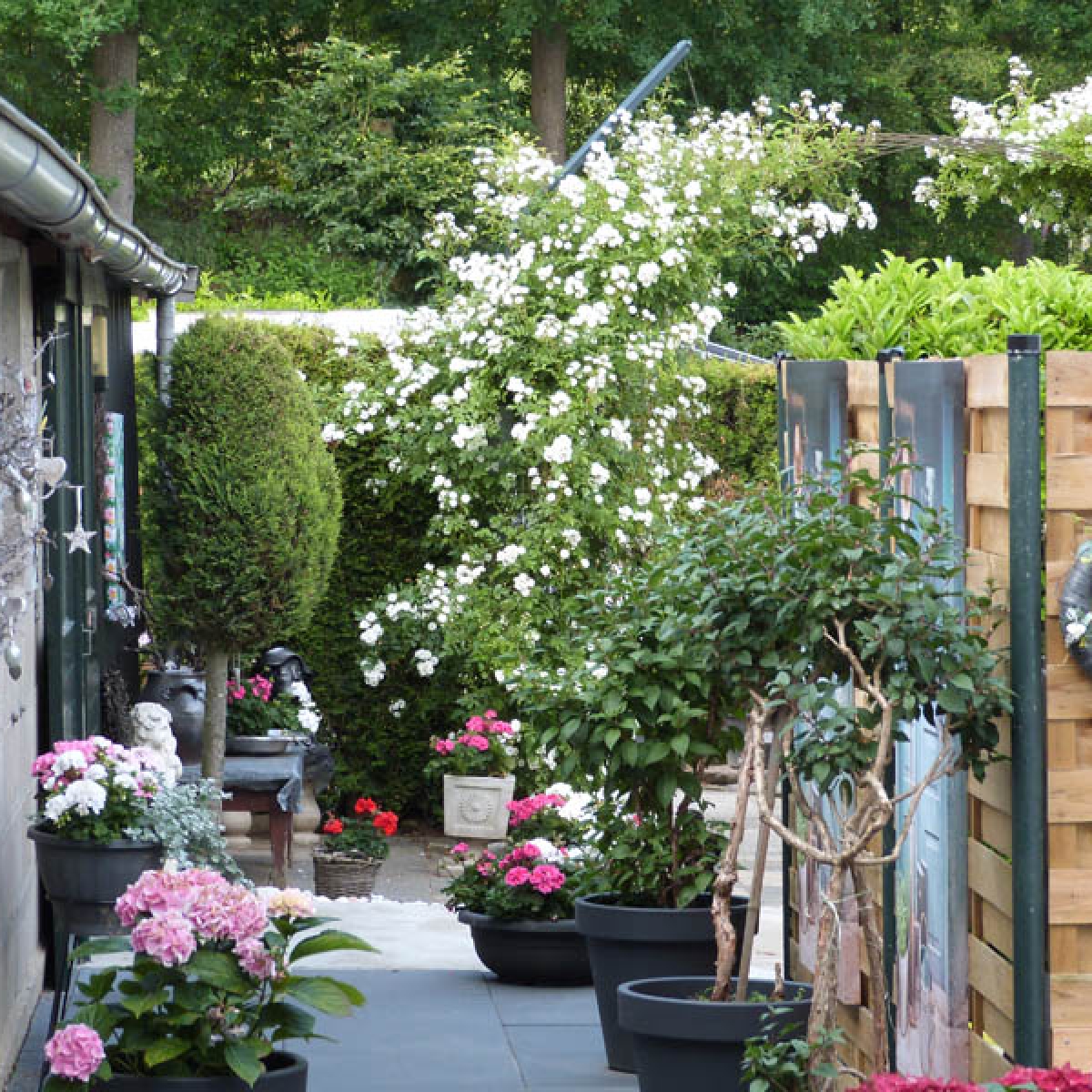 home Camping de Hazenakker